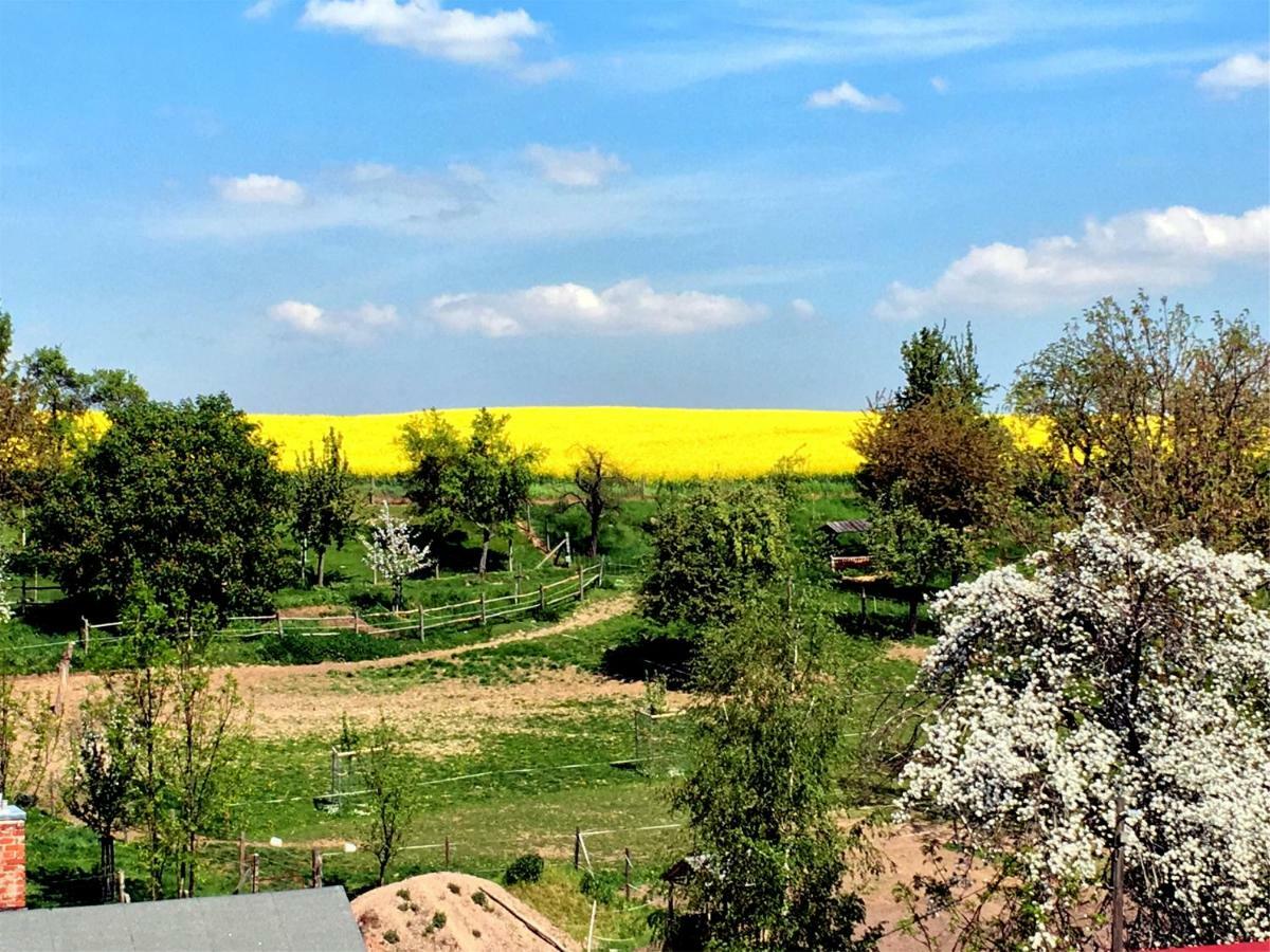 Ferienhaus Zur Blautanne Klipphausen Buitenkant foto